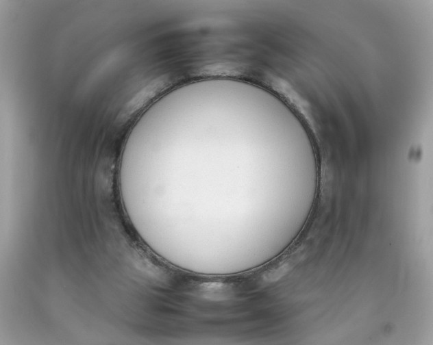 X0000090410153200707272057