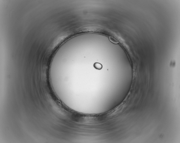 X0000090410154200707272057