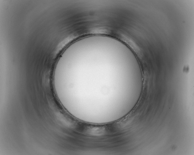 X0000090410155200707272057
