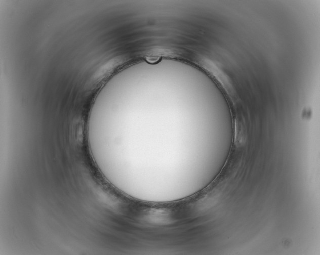 X0000090410157200707272057