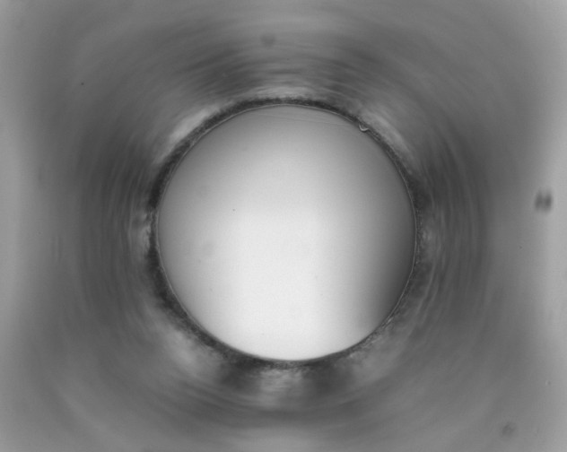 X0000090410160200707272057