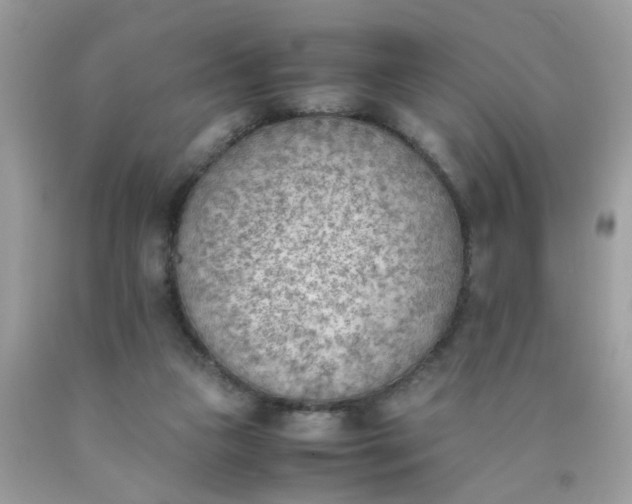 X0000090410161200707272057