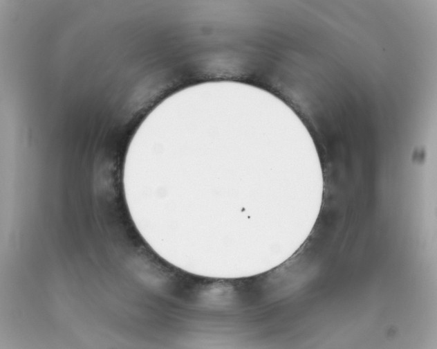 X0000090410162200707272057