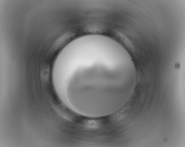 X0000090410163200707272057