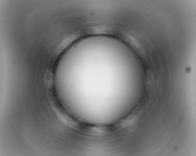 X0000090410164200707272057