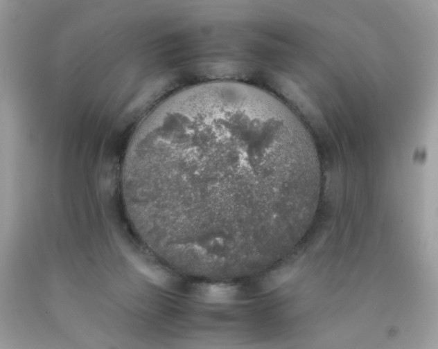 X0000090410165200707272057