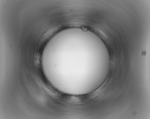 X0000090410166200707272057