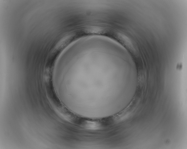 X0000090410167200707272057