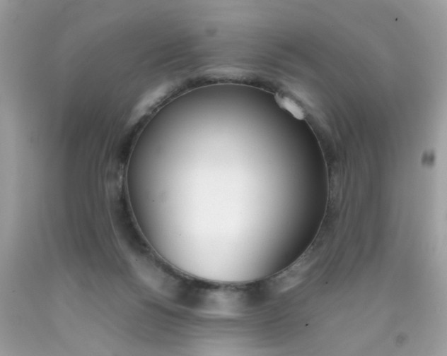 X0000090410168200707272057