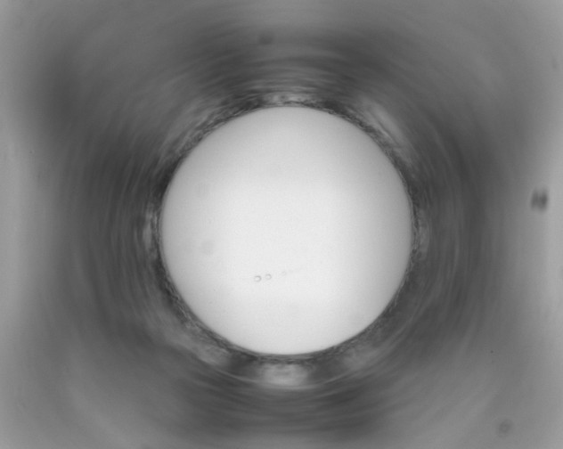X0000090410169200707272057