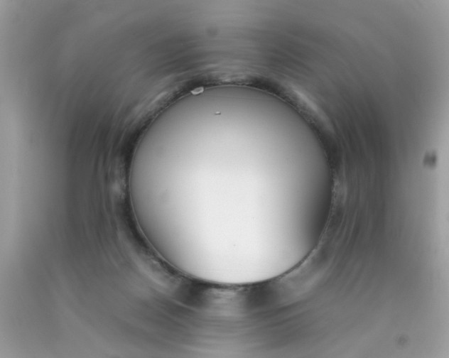 X0000090410170200707272057