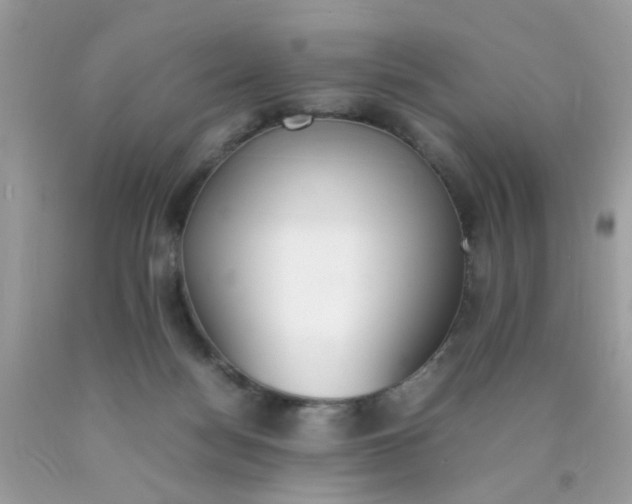 X0000090410172200707272057