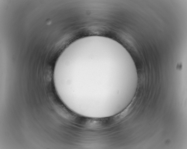 X0000090410174200707272057