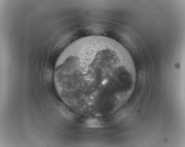 X0000090410177200707272057