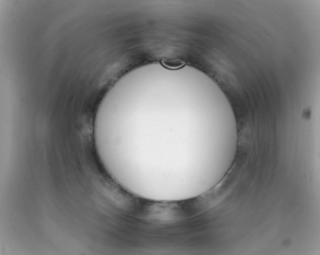 X0000090410179200707272057