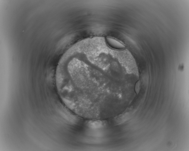 X0000090410181200707272057