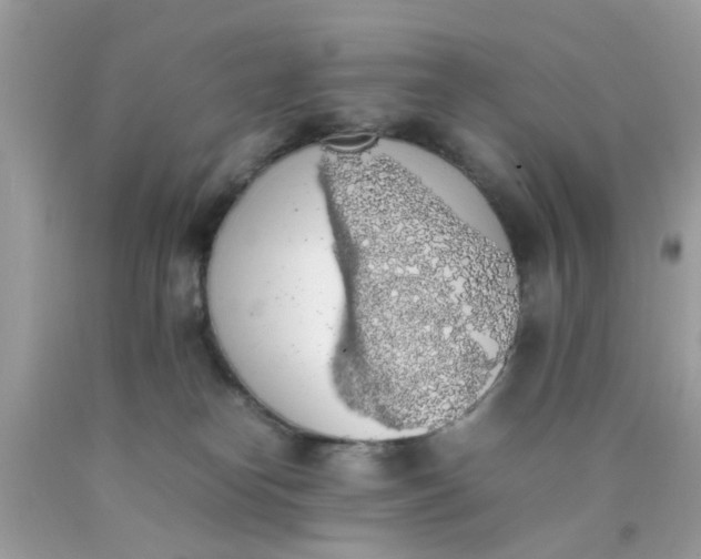 X0000090410182200707272057