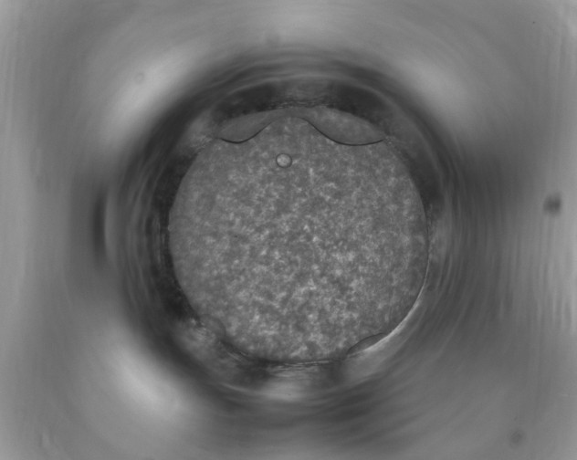 X0000090410191200707272057