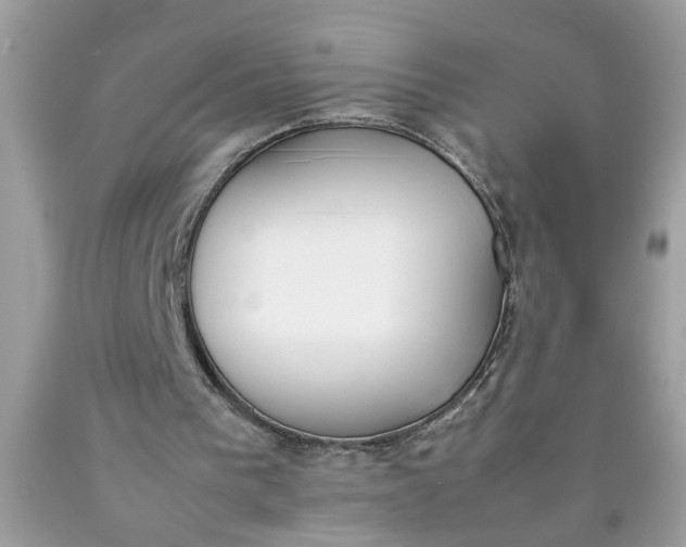 X0000090410193200707272057