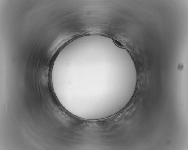 X0000090410194200707272057