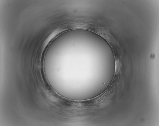 X0000090410195200707272057