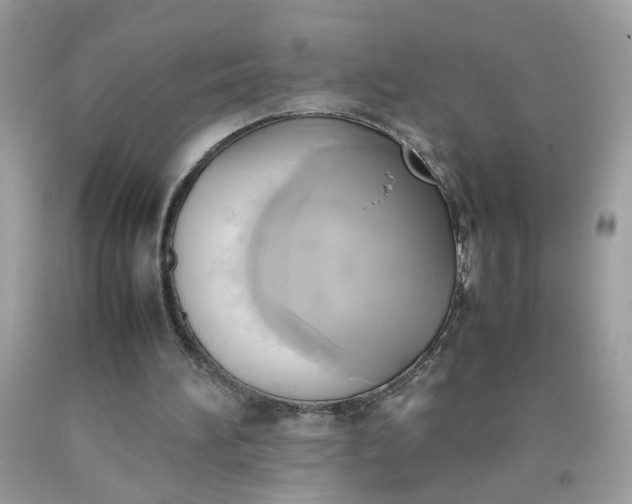 X0000090410196200707272057