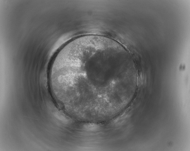 X0000090410198200707272057
