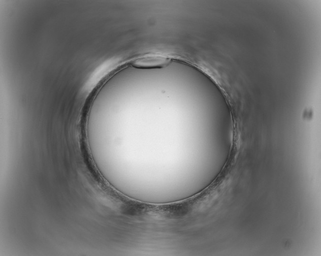 X0000090410199200707272057