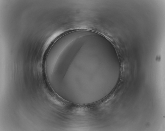 X0000090410200200707272057