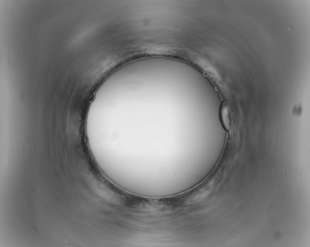 X0000090410201200707272057