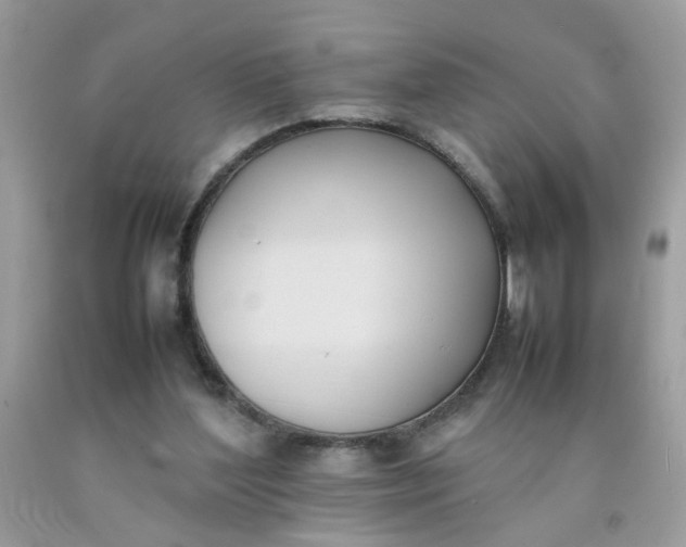 X0000090410204200707272057