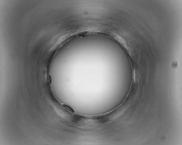 X0000090410205200707272056
