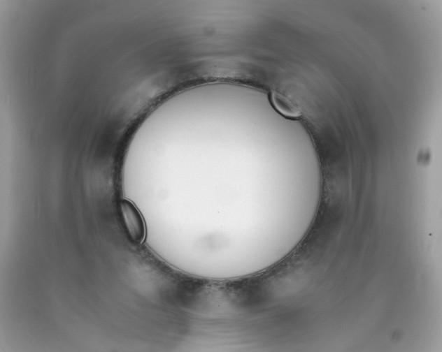 X0000090410207200707272056