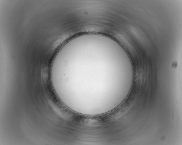 X0000090410208200707272056