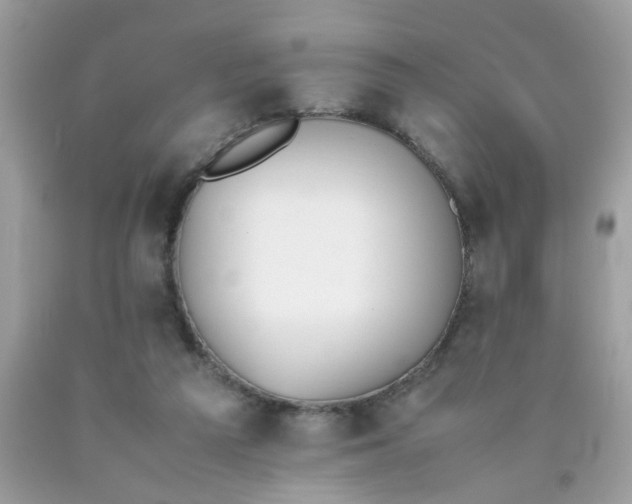 X0000090410209200707272056