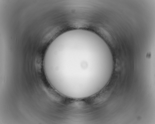 X0000090410210200707272056