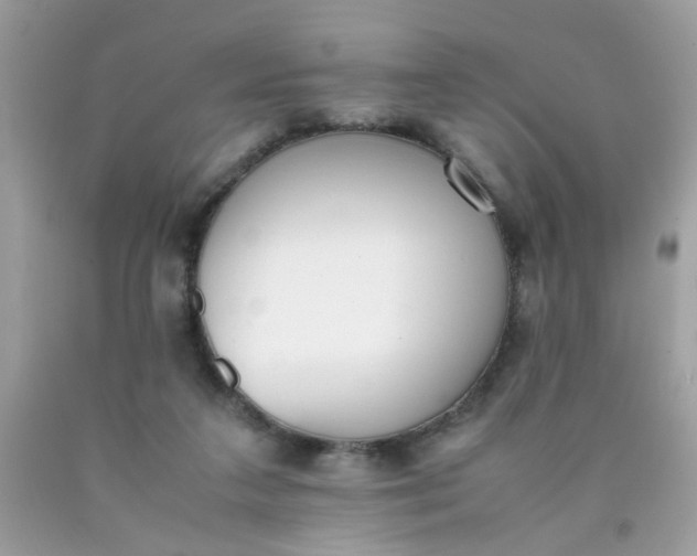 X0000090410211200707272056