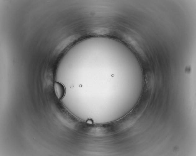 X0000090410212200707272056