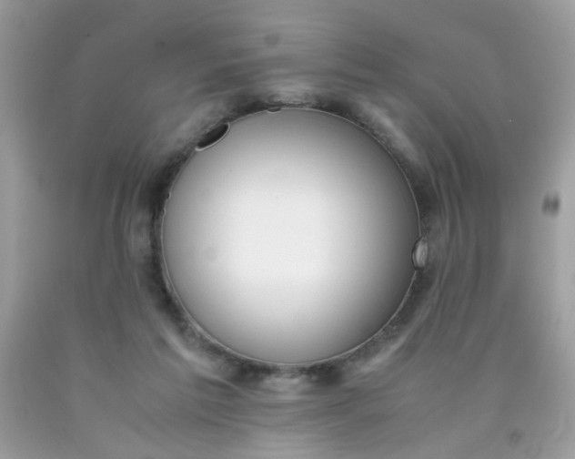 X0000090410213200707272056