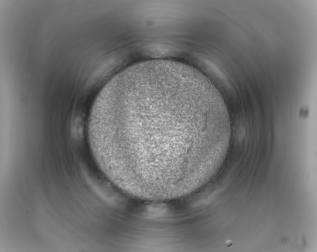 X0000090410214200707272056