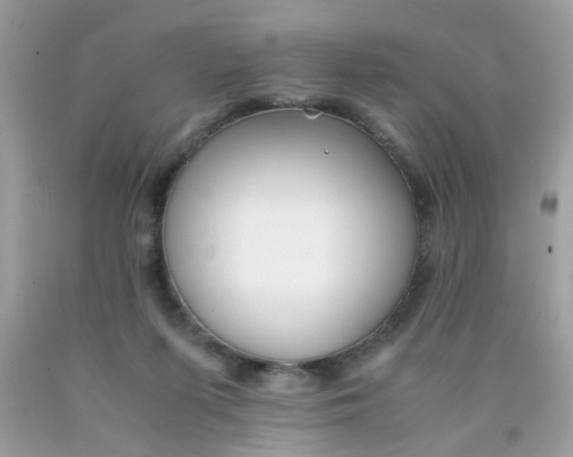 X0000090410215200707272056