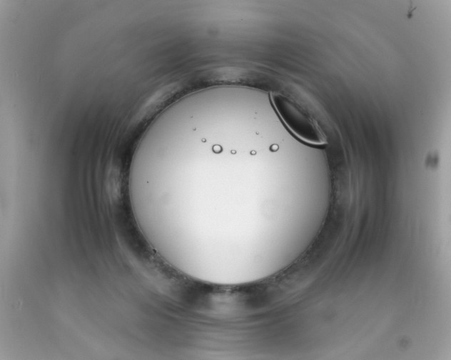 X0000090410216200707272056