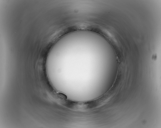 X0000090410217200707272056