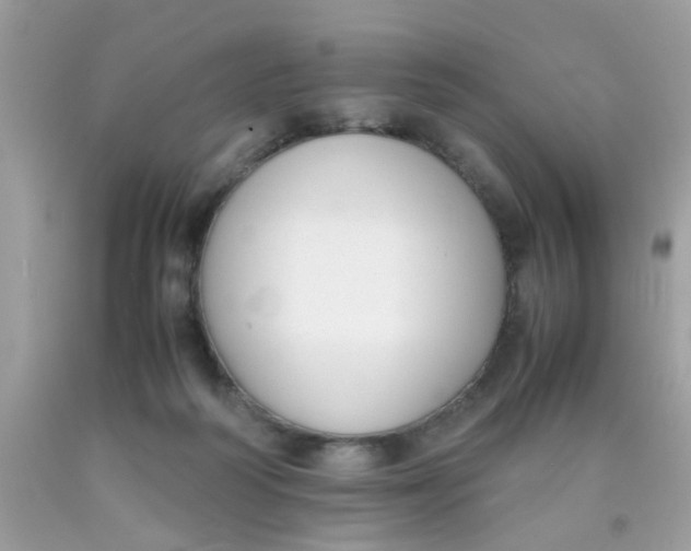 X0000090410218200707272056