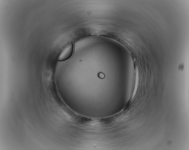 X0000090410219200707272056