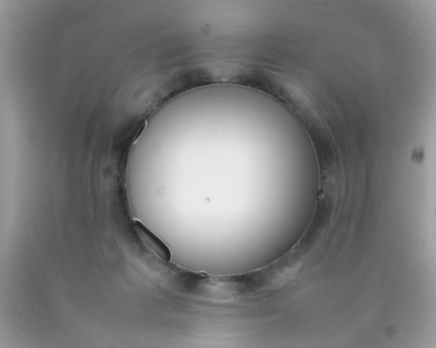 X0000090410221200707272056