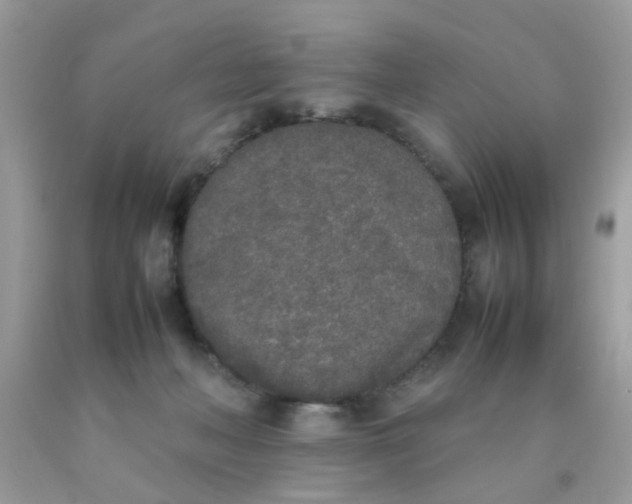 X0000090410222200707272056