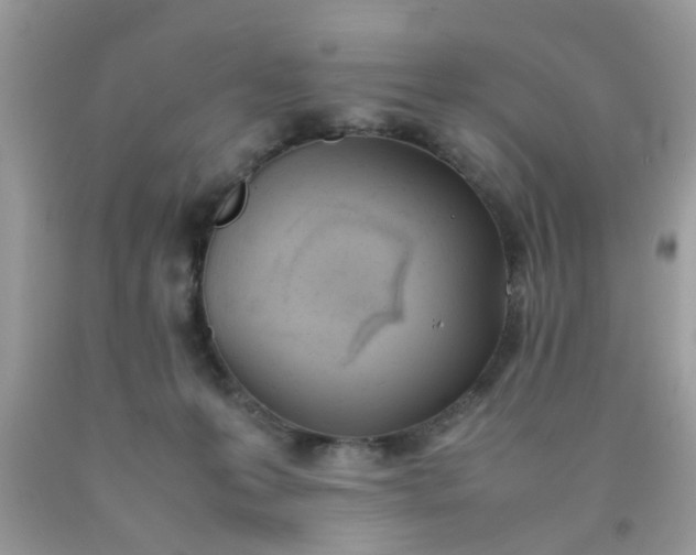 X0000090410223200707272056