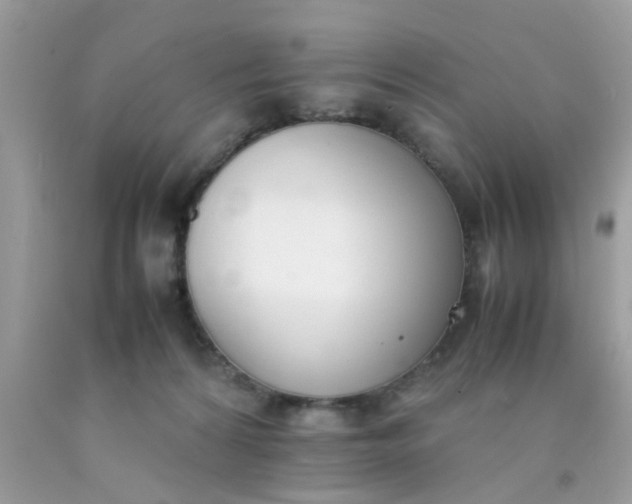 X0000090410224200707272056