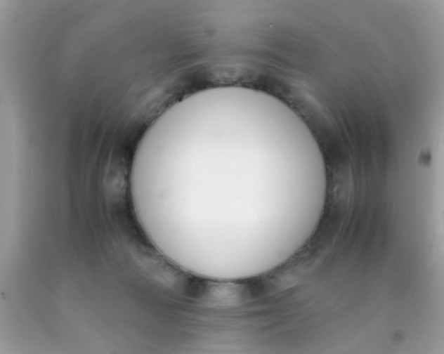 X0000090410226200707272056
